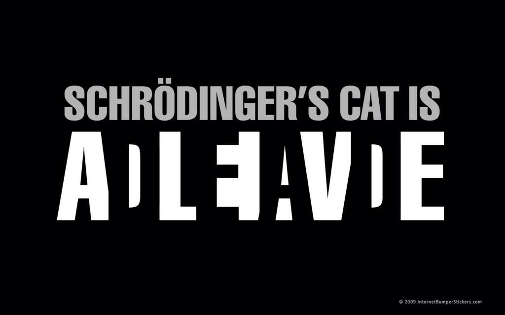 Schrödinger_Gato_Vivo_muerto